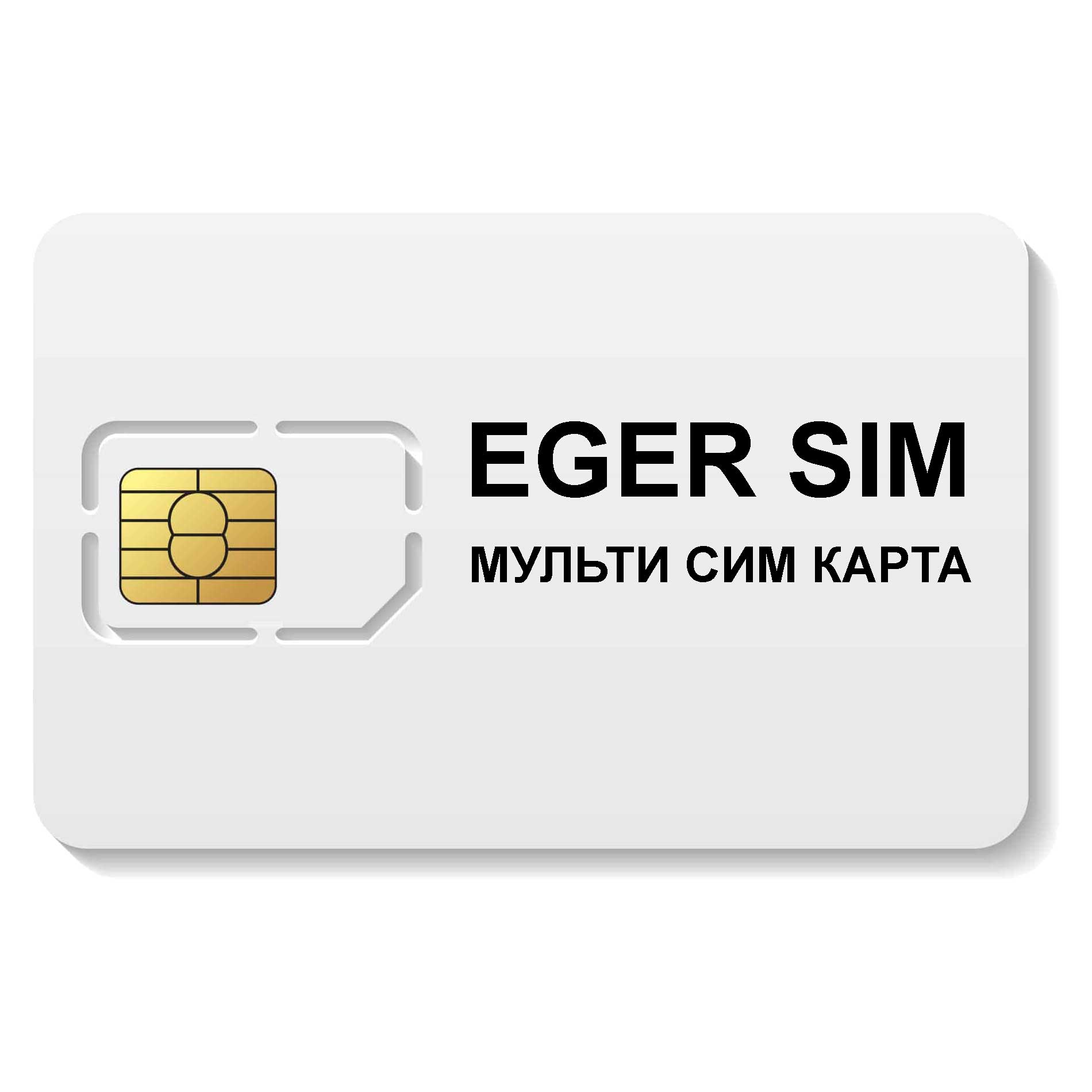 Сим карта 24. Сим карта Билайн. Термо SIM-карта. Мультисимкарта. Beeline m2m SIM Card.
